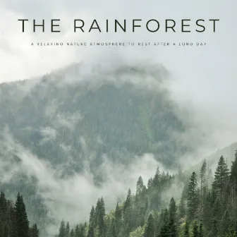 The Rainforest: A Relaxing Nature Atmosphere To Rest After A Long Day by Bathtime Music