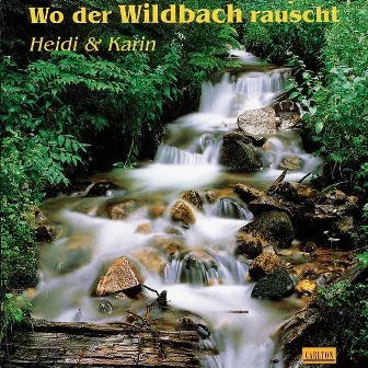 Wo der Wildbach rauscht by Unknown Artist