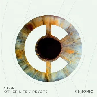 Other Life / Peyote by Sl8r