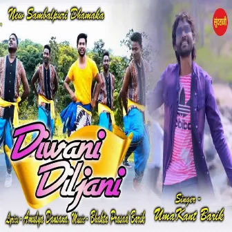 Diwani Diljani by 