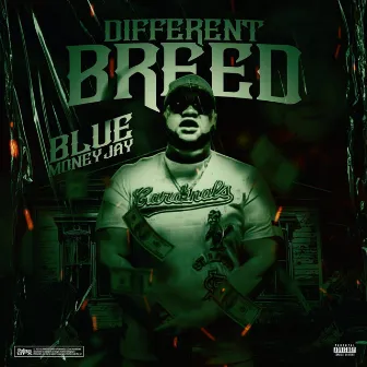 Different Breed by Blue Money Jay