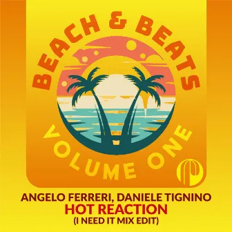 Hot Reaction (I Need It Mix Edit) by Daniele Tignino