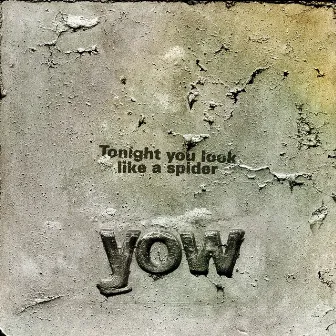 Tonight You Look Like A Spider by David Yow