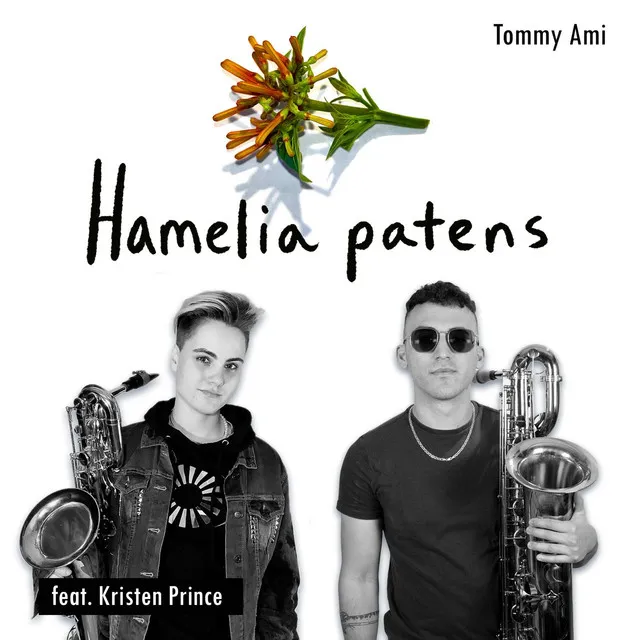 Hamelia patens