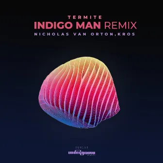 Termite Indigo Man Remix by Indigo Man