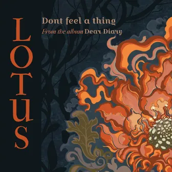 Don't Feel a Thing by Lotus