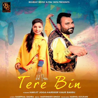 Tere Bin by Hardeep Kaur Babbu