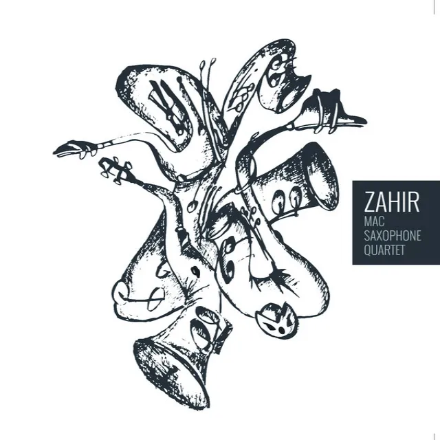 Zahir V