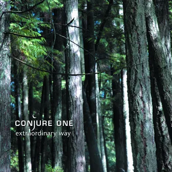 Extraordinary Way by Conjure One