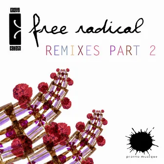 Free Radical Remixes Part 2 by Cravo E Canela