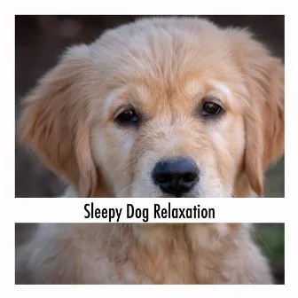 Sleepy Dog Relaxation by Calming Doggy Sleep