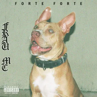 Forte Forte by Frau MC