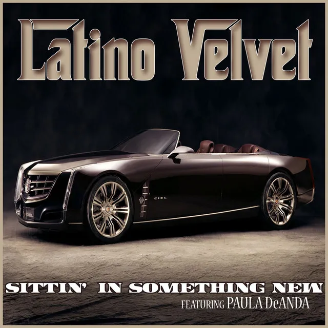 Sittin' In Something New (feat. Paula DeAnda) - Single