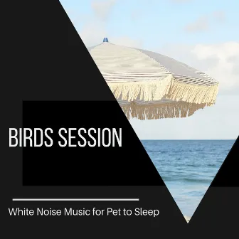 Birds Session - White Noise Music for Pet to Sleep by Meditative Ocean Music