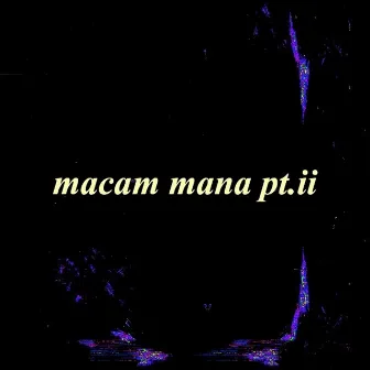 macam mana pt.ii by DC Willie