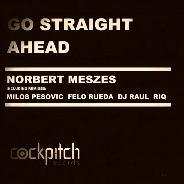 Go Straight Ahead - DJ Raul, Norbert Meszes, RIQ Remake