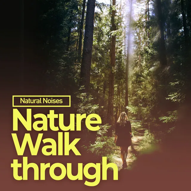 Nature Walkthrough