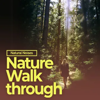 Nature Walkthrough by Natural Noises