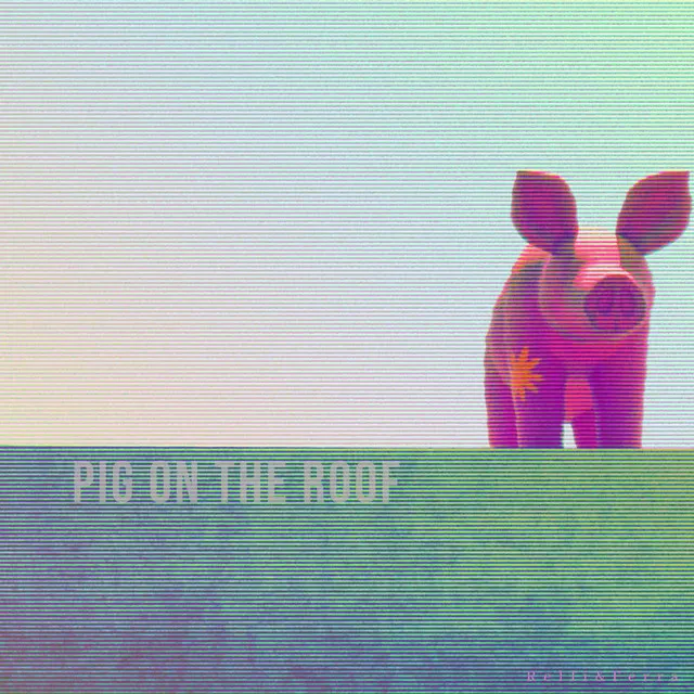 Pig on the Roof