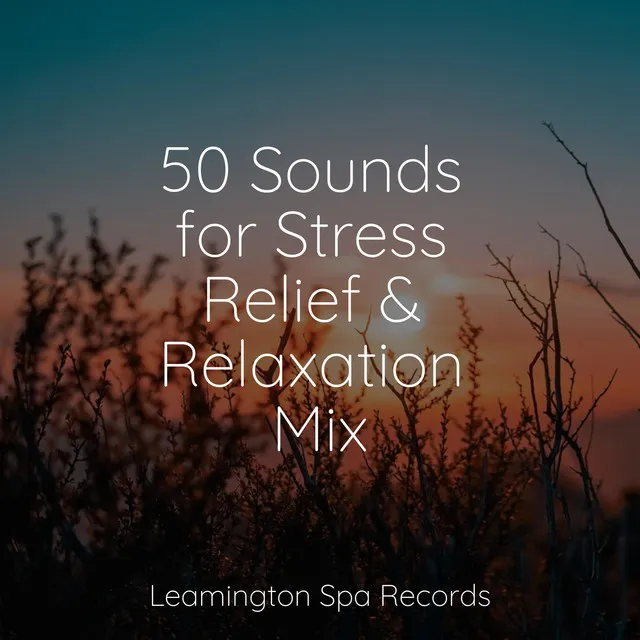 50 Sounds for Stress Relief & Relaxation Mix