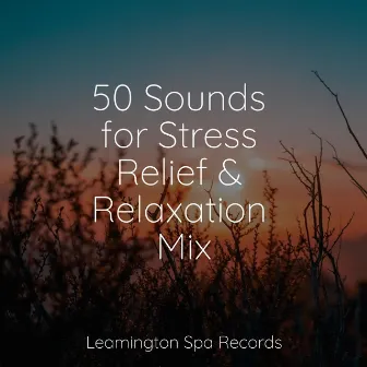 50 Sounds for Stress Relief & Relaxation Mix by Thunder Storms & Rain Sounds