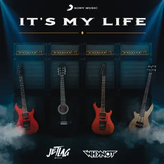 It's My Life by WhyNot Music