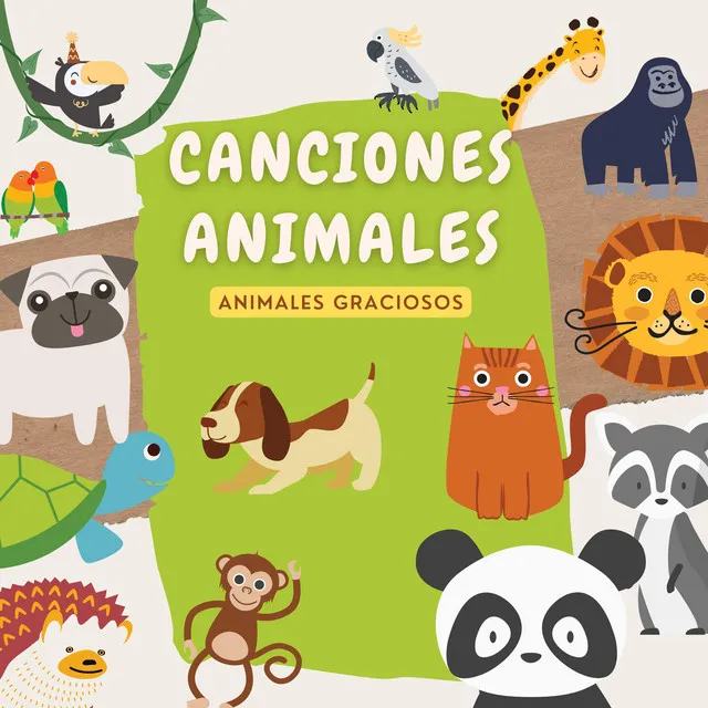 Animales Graciosos