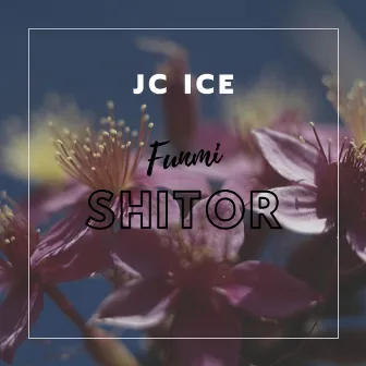 Funmi Shitor by Jc Ice