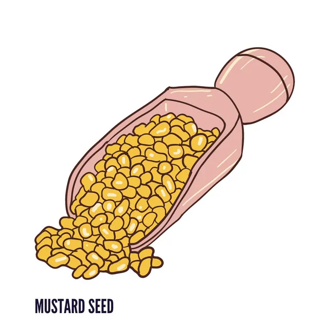 Mustard Seed