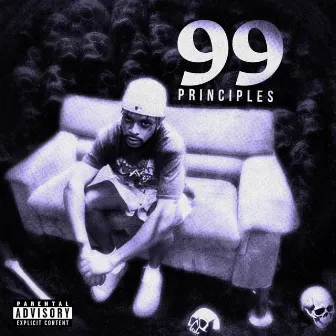 99 Principles by Havi