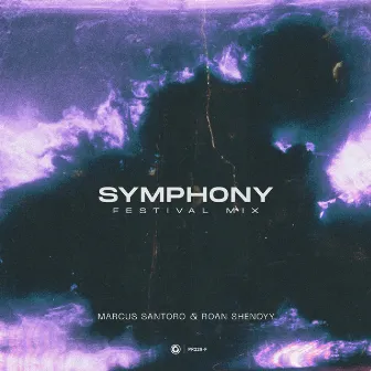 Symphony (Festival Mix) by Unknown Artist