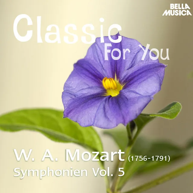 Symphonie in G Minor, K. 183, No. 25: I. Allegro con brio