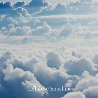 Substance by Cellulose Sunshine