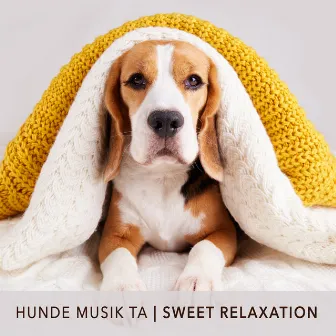 Sweet Relaxation by Hunde Musik TA