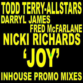 Joy by Todd Terry Allstars