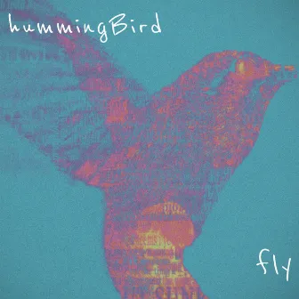 fly by Hummingbird