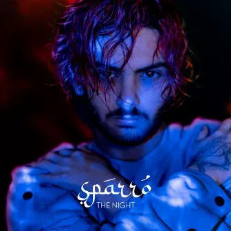 The Night by Sparro