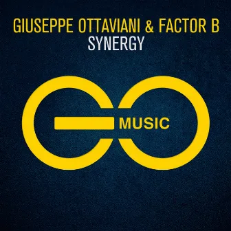 Synergy by Factor B