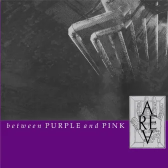 Between Purple & Pink by Area