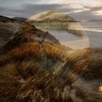 Marram by Matt Carmichael