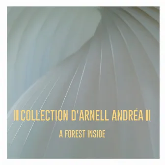 A Forest Inside by Collection D'Arnell-Andrea