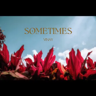 Sometimes by Vinay