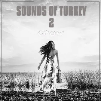 Sounds Of Turkey, Vol. 2 by CROW