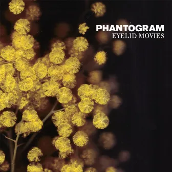 Eyelid Movies by Phantogram