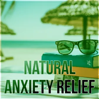 Natural Anxiety Relief - Relaxing Sounds of Nature & Sleep Music, Stress Relief After Work, Mood & Serenity Music, Free Mind, Rest, Time to Reading Books, Deep Meditation by Healing Touch Academy