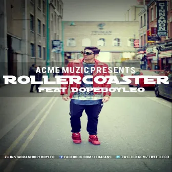 Roller Coaster by Leo