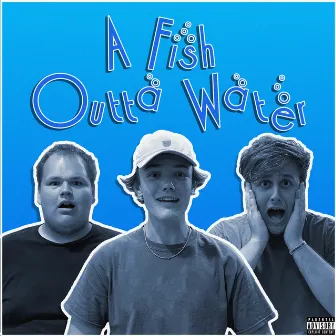 A Fish Outta Water by Fish Bowl