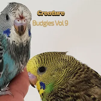 Budgies, Vol. 9 by Creature