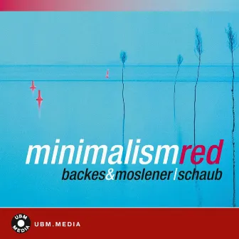 Minimalism Red by Reinhard Schaub