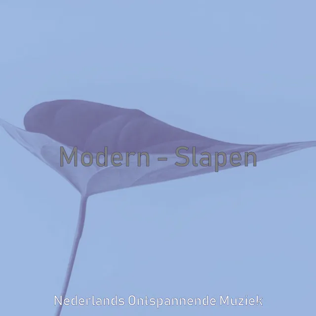 Modern - Slapen